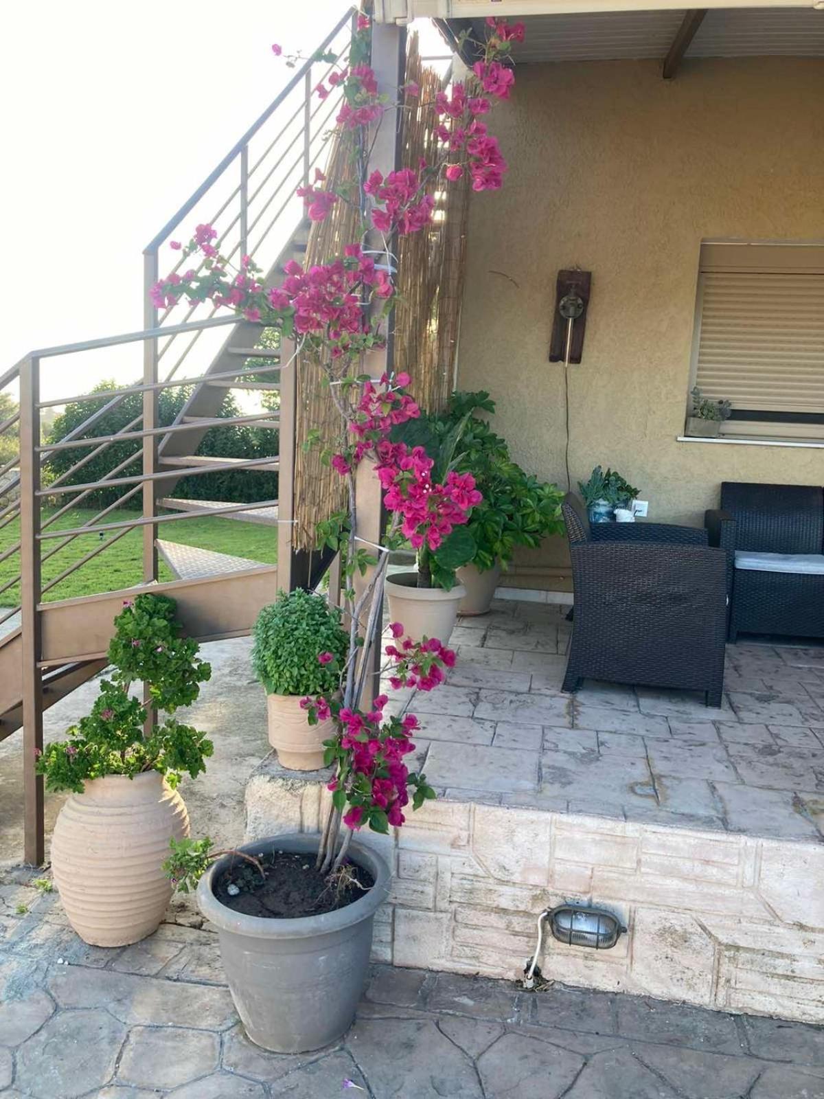 Villeta Nikol Lixouri Dış mekan fotoğraf